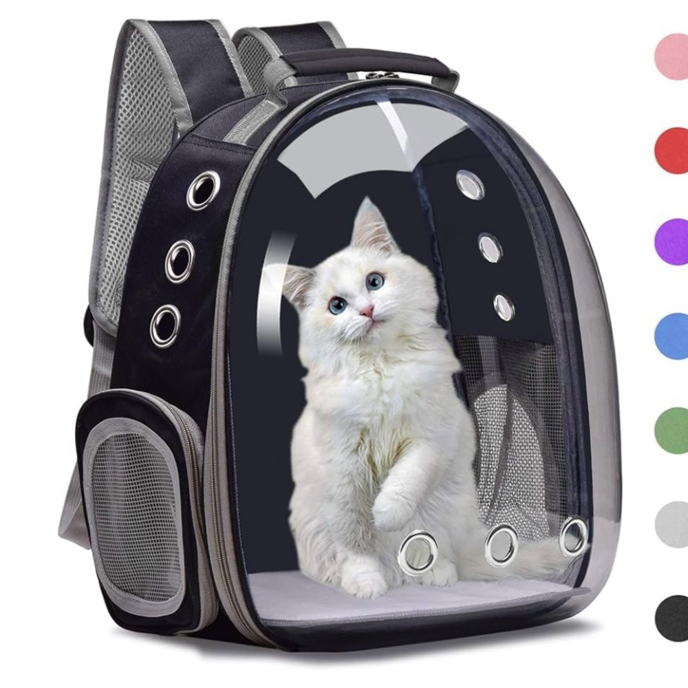 Transparent Cat Backpack Carrier - Black